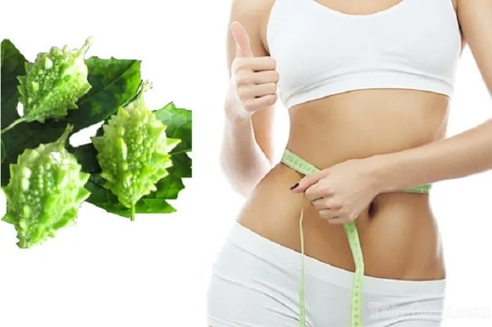 Công dụng tuyệt vời của khổ qua rừng đối với sức khỏe Khổ qua rừng từ lâu đã được biết đến nhiều trong mỗi bữa cơm gia đình. Ngoài ra, đây được coi là thảo dược từ thiên nhiên cực kỳ có lợi cho sức khỏe. Cùng tìm hiểu công dụng tuyệt vời của khổ qua rừng trong bài viết sau đây.