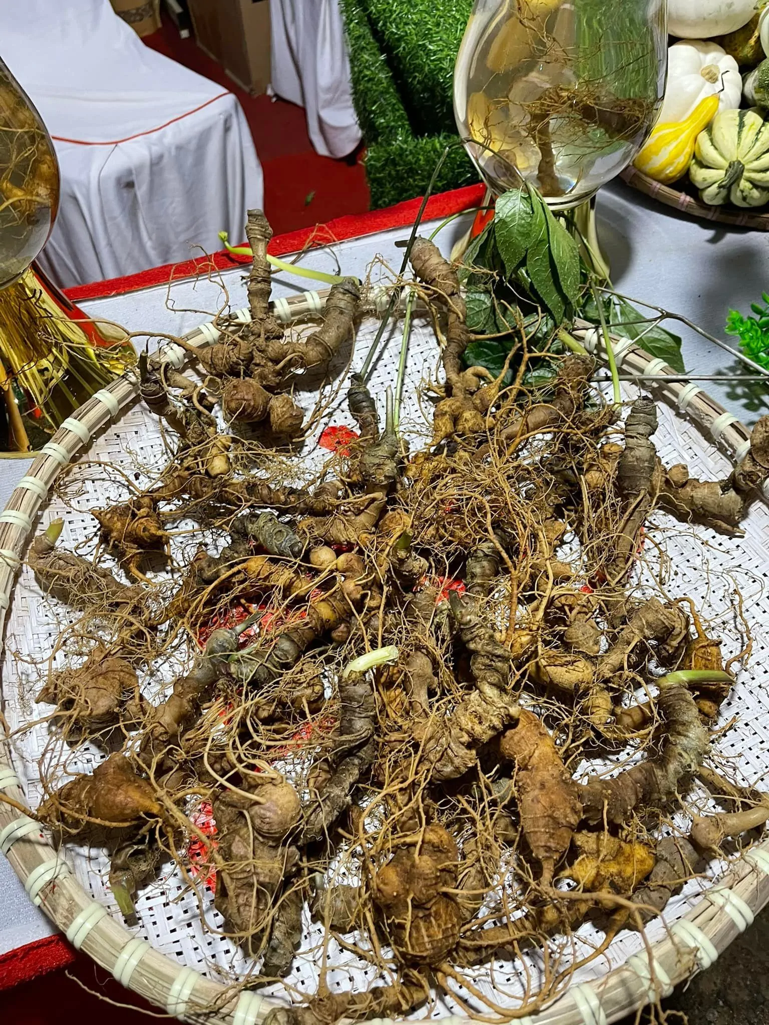 Thảo dược Tây Nguyên tham gia phiên chợ Sâm Ngọc Linh, các sản phẩm đặc hữu gắn với quảng bá du lịch năm 2022 Thảo dược Tây Nguyên tham gia phiên chợ Sâm Ngọc Linh, các sản phẩm đặc hữu gắn với quảng bá du lịch năm 2022