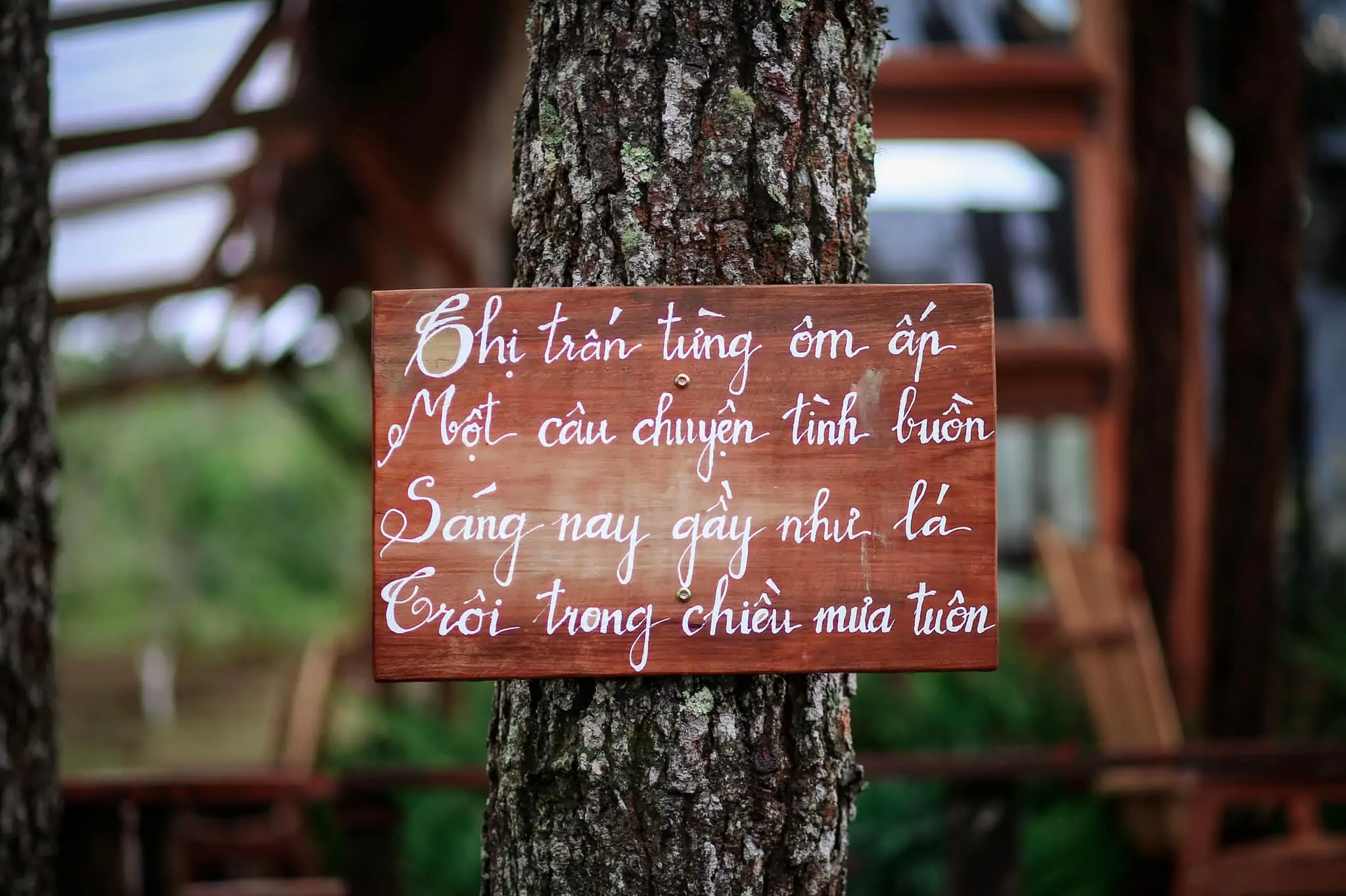 Một farm coffee mới mở ở Măng Đen rất chi là dễ thương: Sóc Farm coffee 3 Một farm coffee mới mở ở Măng Đen rất chi là dễ thương: Sóc Farm coffee Một farm coffee mới mở ở Măng Đen rất chi là dễ thương ❤️. Đ/c: Sóc Farm coffee khu 37 hộ (ad để link google map ở bên dưới cmt nhé)#mangden#groupmangden