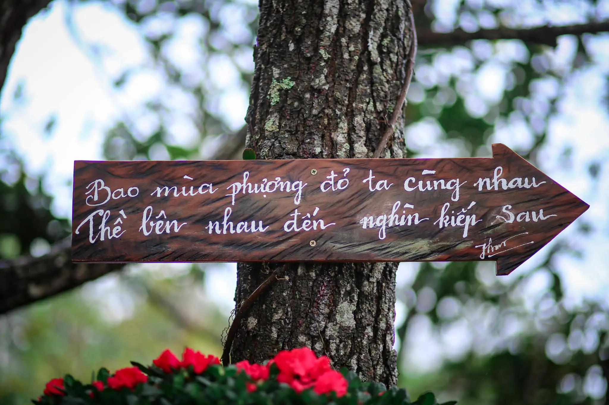 Một farm coffee mới mở ở Măng Đen rất chi là dễ thương: Sóc Farm coffee 4 Một farm coffee mới mở ở Măng Đen rất chi là dễ thương: Sóc Farm coffee Một farm coffee mới mở ở Măng Đen rất chi là dễ thương ❤️. Đ/c: Sóc Farm coffee khu 37 hộ (ad để link google map ở bên dưới cmt nhé)#mangden#groupmangden