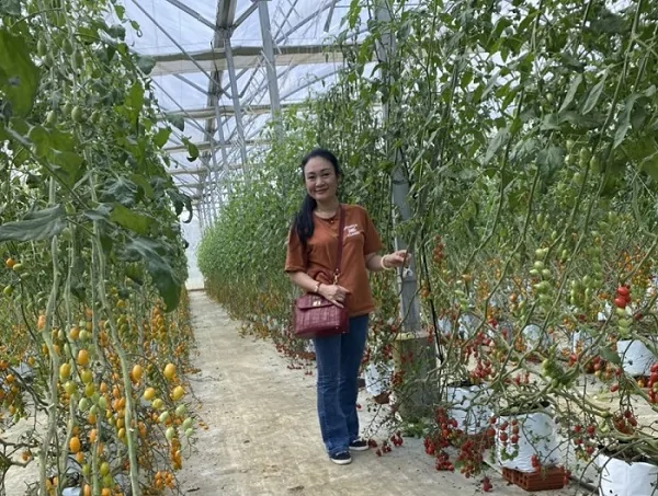 Kon Tum: Sản phẩm du lịch khác biệt là yếu tố thu hút khách tại khu du lịch sinh thái nghỉ dưỡng Măng Đen Khu du lịch sinh thái nghỉ dưỡng Măng Đen được mệnh danh là một thiên đường của phong cảnh thiên nhiên hoang sơ, hữu tình với khí hậu ôn hòa mát mẻ quanh năm. Đối với Việt Nam khó nơi đâu có một vùng đất mà thiên nhiên đã ưu ái ban tặng nhiều điều kiện vô cùng thuận lợi để xây dựng và phát triển du lịch đặc biệt là du lịch sinh thái, du lịch văn hóa, du lịch cộng đồng, du lịch nghỉ dưỡng, du lịch hội họp,du lịch thám hiểm, du lịch dưỡng lão, du lịch trải nghiệm…