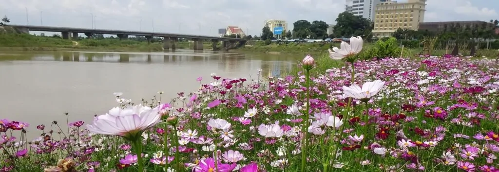 Vườn hoa Anh Việt - ảnh số 0