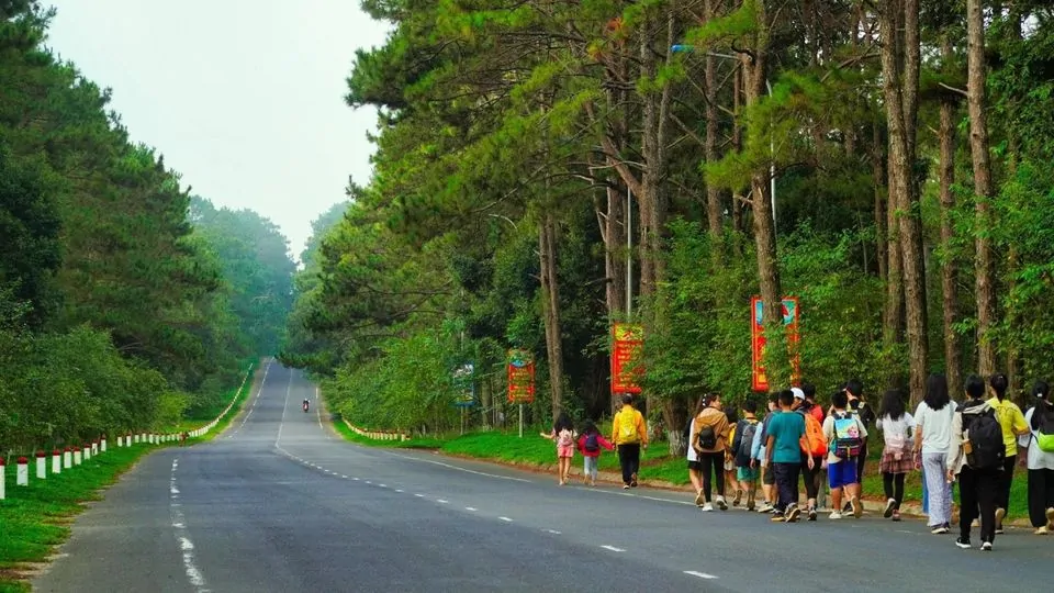 Con đường thông Măng Đen #mangden Nguồn Facebook: Group Măng Đen