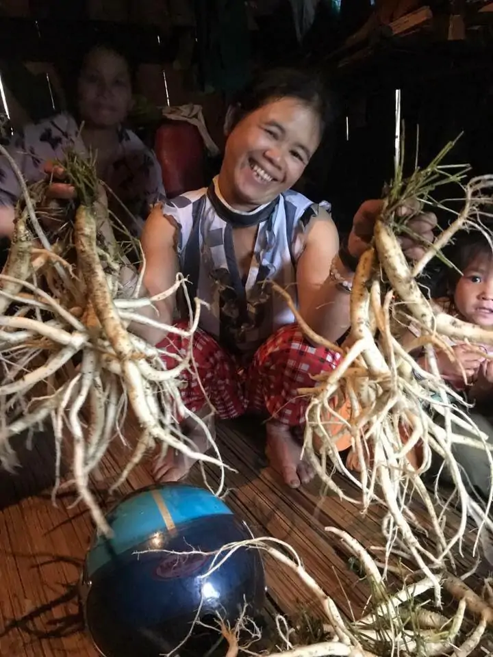 Trà sâm dây Ngọc Linh DATO tiện lợi tăng cường sức khỏe mỗi ngày Trà sâm dây Ngọc Linh từ lâu đã rất quen thuộc với người dân sống quanh dưới chân núi Ngọc Linh bởi những công dụng tuyệt vời mà nó đem lại cho sức khỏe.  Ngày nay, cái tên này càng trở nên gần gũi và tiện lợi hơn khi được chế biến thành trà sâm dây Ngọc Linh DATO mà ở độ tuổi nào cũng có thể dùng được.